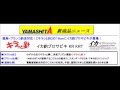 ヤマリア　キラッと針18ｃｍプロサビキ登場