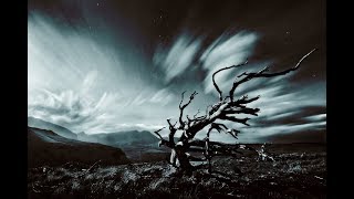 Video thumbnail of "Forseti - Wind"