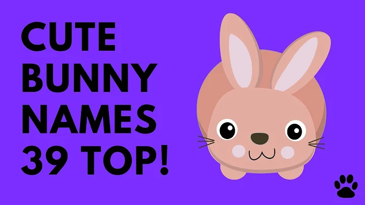 🐰 Bunny Names - 39 CUTE & BEST Names Female & Male | Names