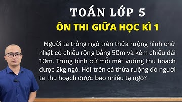 Toán lớp 5 - Ôn thi giữa học kì 1 - Dạng bài tính năng suất, sản lượng | Thầy Nguyễn Văn Quyền