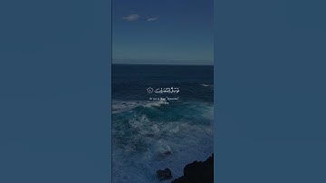 أكتب شيء تؤجر.   #عبدالرحمن_مسعد #سورة_الماعون