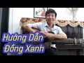 Đồng Xanh - Green fields - Hướng Dẫn Guitar intro điệu chachacha