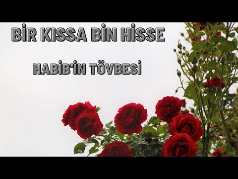 BİR KISSA BİN HİSSE - HABİB'İN TÖVBESİ