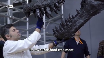 Wonderful World 4 Unit 11 Lesson 2