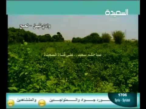 صباح الخير من بدري الفنان محمد سعد عبدالله