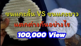 ขนแกะสั้น ขนแกะยาว | #น้ำยาเคลือบแก้ว | #สอนเคลือบแก้ว | ขายแฟรนไชส์ |【 Ucarwash TV 】