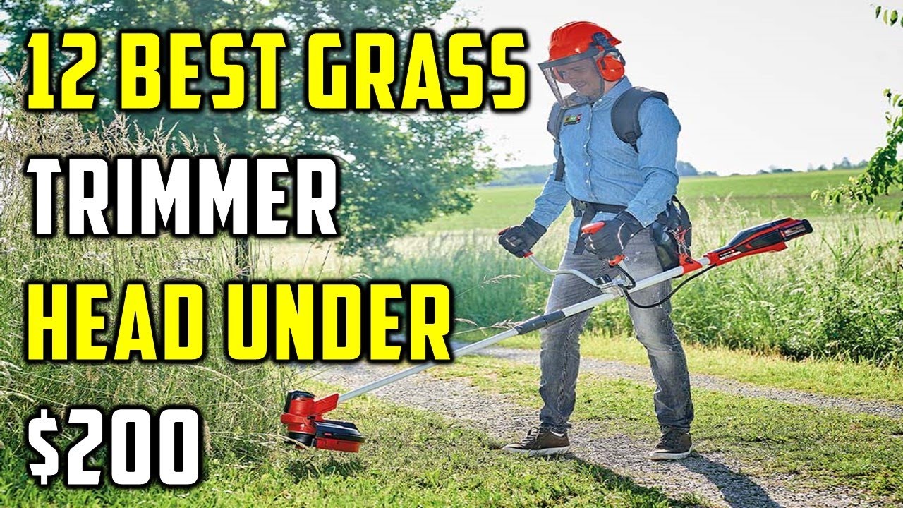 Best Grass Trimmer Head Under $200 in 2024 | Top 12 Best Grass Trimmer ...