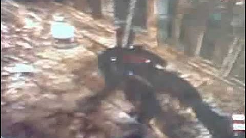 Tutorial To Get Hanging Man (shi no numa) Down