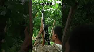 Ngeri Pesona Pcp Mouser Od 32 Kla Magazine