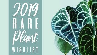 My 2019 Rare  / Uncommon Plant Wish list (So Far!)