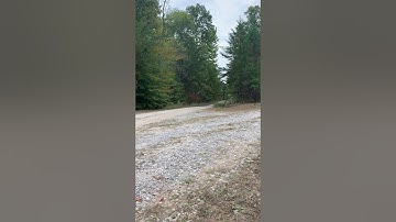 Jay’s Leslie RS5TF