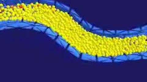 Interaction of Fluids with Deformable Solids