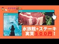 旅行者でも沖縄県民でもOK！DMMかりゆし水族館+和牛ステーキ！実質最大95%オフ！GoToトラベルとおきなわ彩発見キャンペーン第3弾バスツアー ～ お金について@沖縄 #86