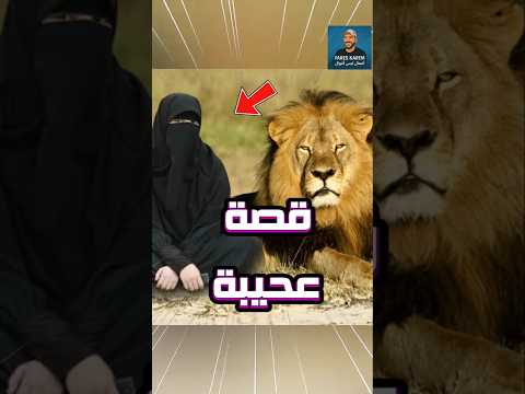 قصه عجيبه كيف استطعت هذه السيدة توريض الأسد ولماذا