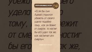 "Судьба и Человек: От Удела не Убежать". #Ислам #Философия #Судьба #Предопределение #Мудрость #Жизнь