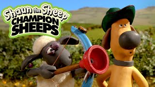 Archery | Championsheeps Games | Shaun the Sheep