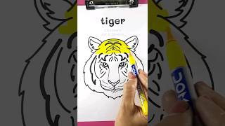 Tiger Colouring #shorts #tiger #tigerart #tigerdrawing #creativeart #viralshorts #tendingshorts