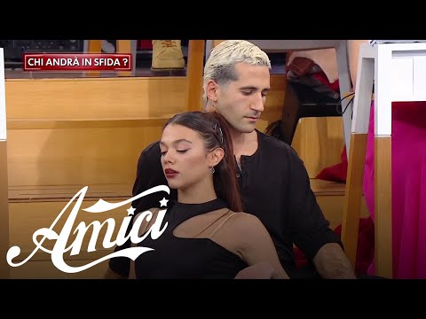 Amici 24 -