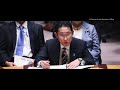 Japan and United Nations Security Council