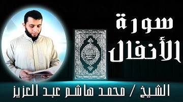 الشيخ محمد هاشم عبد العزيز | سورة الأنفال