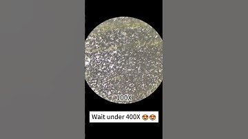 Garlic cloves under a microscope #microscope #viral