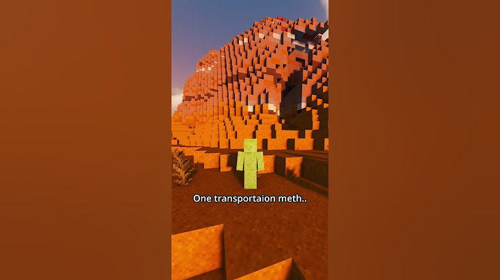 ONLY an ELYTRA for travel...?