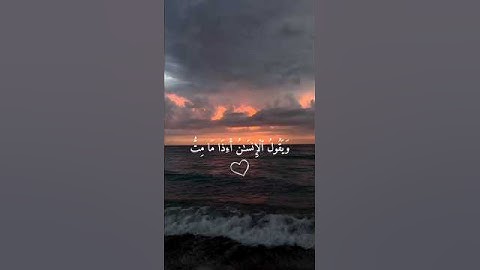 أرح سمعك 🤍🌿 ستوريات انستا قران كريم ايات قرانية قصيرة || حالات واتس قران صوت #القارئ_بدر_النفيس 🤍🌿