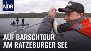 Angeln in SH: Die Hrubeschs auf Barschtour am Ratzeburger See | NDR Doku