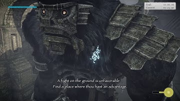 Shadow of the Colossus Argus (#15) HTA 3:23.91 (PS4)