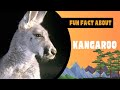 Unveiling the Wonder: 5 Intriguing Fun Facts About Kangaroos