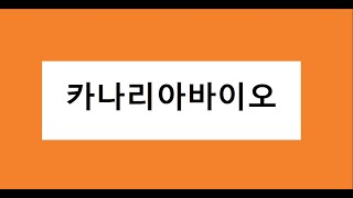 카나리아바이오 주식 주가 전망, 목표가, 손절가 참고, 단타 종목 추천