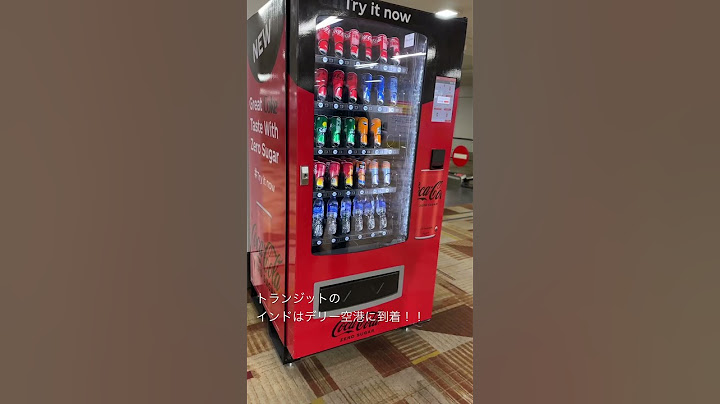 インド、デリー空港に到着