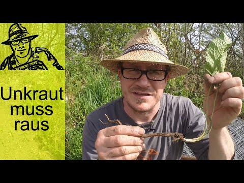 Video: Unkrautarten