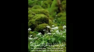 قرآن كريم ♡ /🌸أجر لي ولكم 🌸