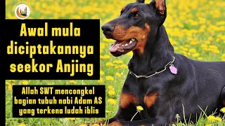 KISAH TERCIPTANYA SEEKOR ANJING /ASAL USUL ANJING MENURUT ISLAM @kisah_islami @YtCrashIslam