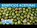 8 Propiedades y Beneficios de las Aceitunas | QueApetito