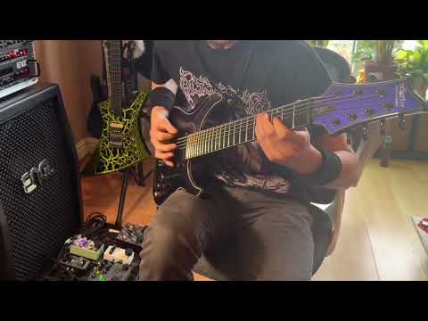 Revocation: That Which Consumes All Things Guitar Cover