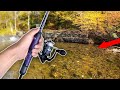 This is INSANE!! Fall Stocked Trout Fishing!