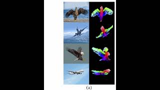 #Shorts DINOv2: State-of-the-art computer vision models with self-supervised learning