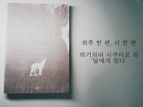 바다사서 하루 한 편 시 한 편 달에게 짖다 1