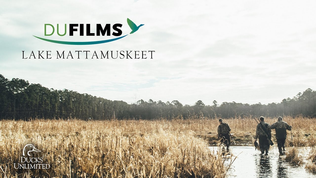 DU Films 2018: Lake Mattamuskeet