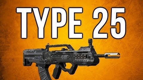 Bo2 best Type 25 class setup