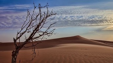 تلاوة من سورة إبراهيم - الشيخ سعود الشريم