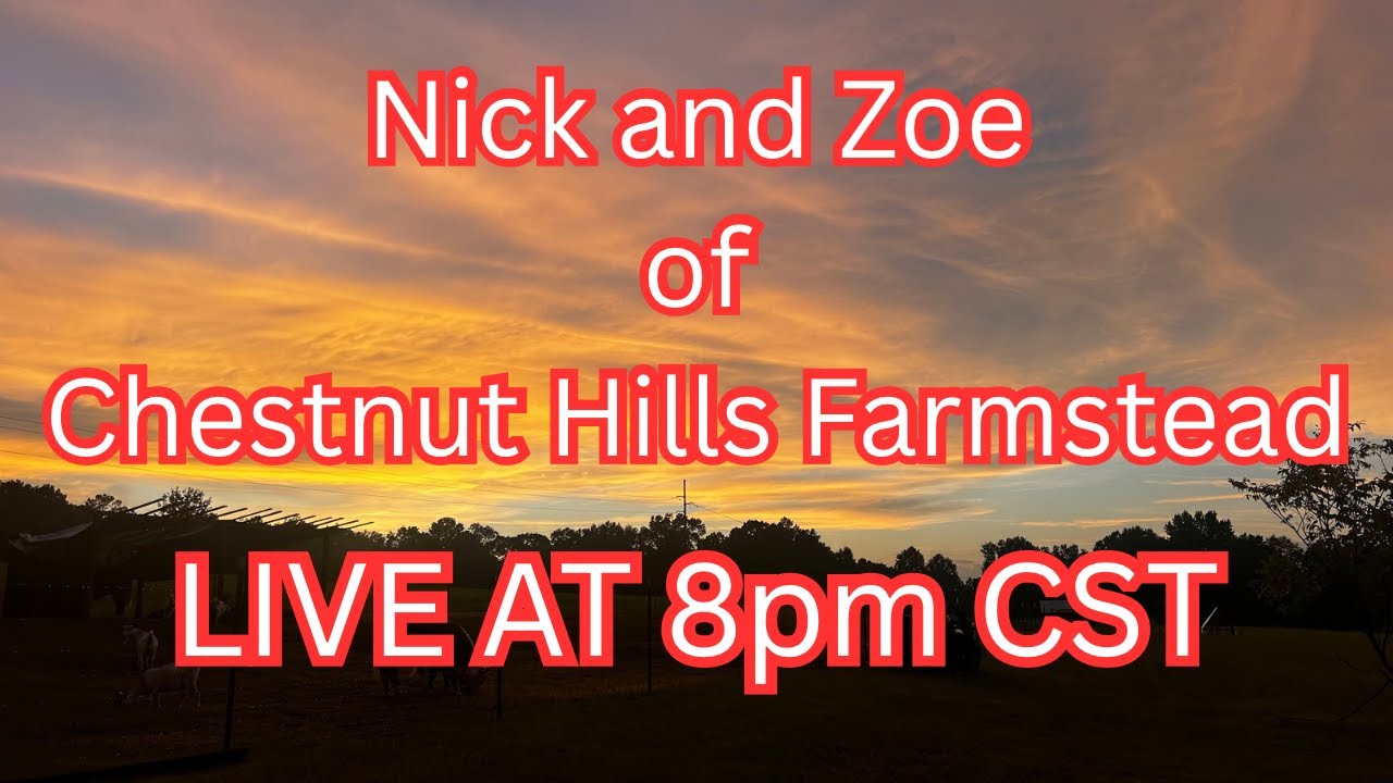 Sunday Night Livestream - YouTube