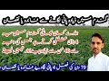 What is the right time for 4 irrigation in the wheat | Gandum mein 4 pani kab lagae