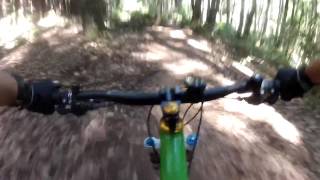 UCSC Fun