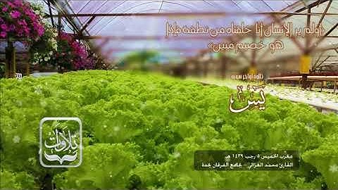 سورة يس كاملة 🍁❤️ للقارىء محمد الغزالي