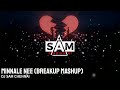 Minnale  mashup  may madham  a r rahman   spb  dj sam chennai  2022  remix