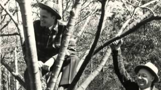 Billy Graham-Gods Ambassador-1
