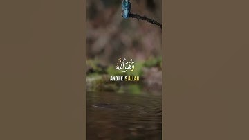 القارئ عبدالملك الراجح